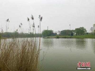 河北将强化白洋淀水环境治理 推动与京津区域水污染防治协作